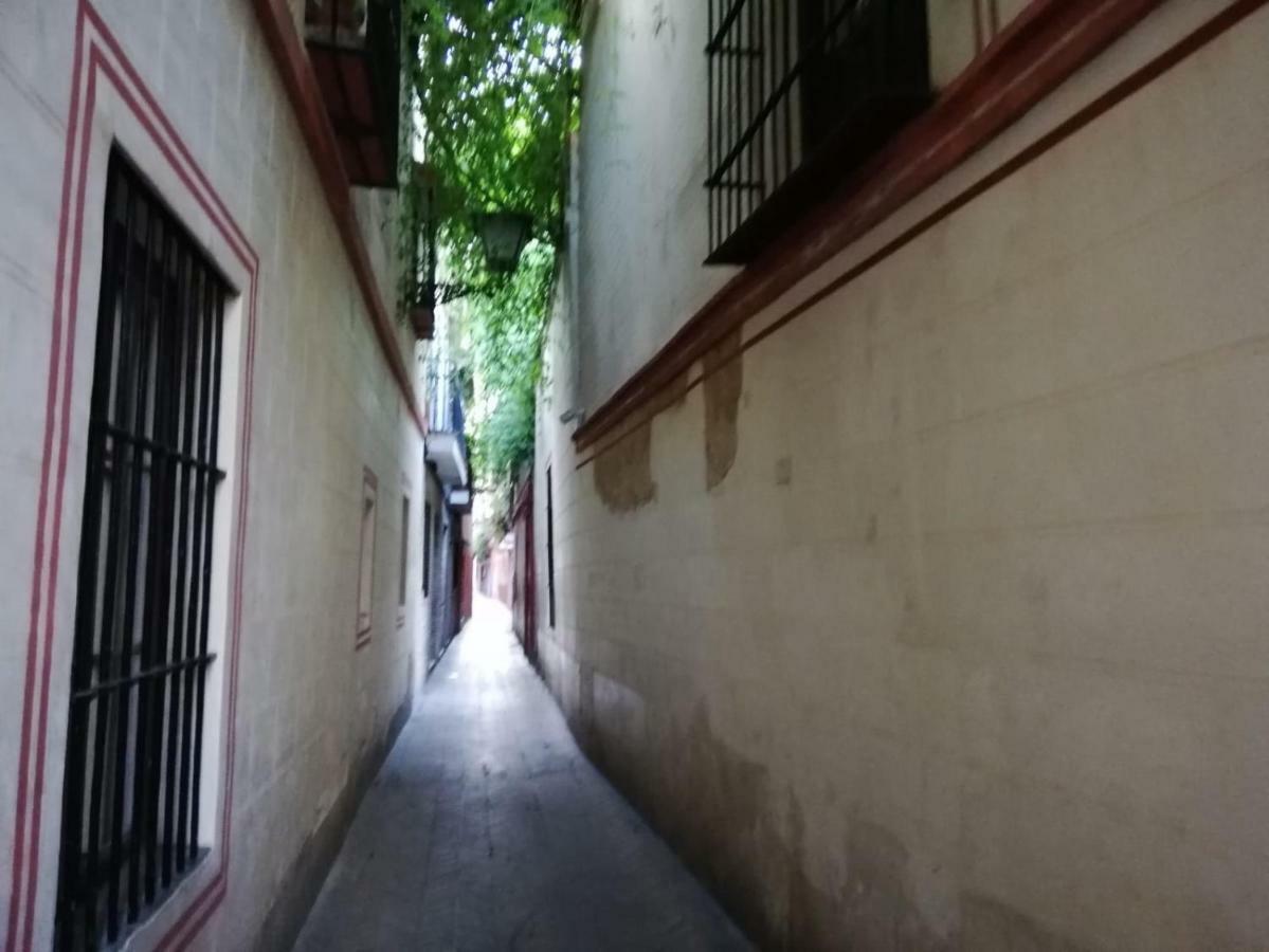 En La Judería De *